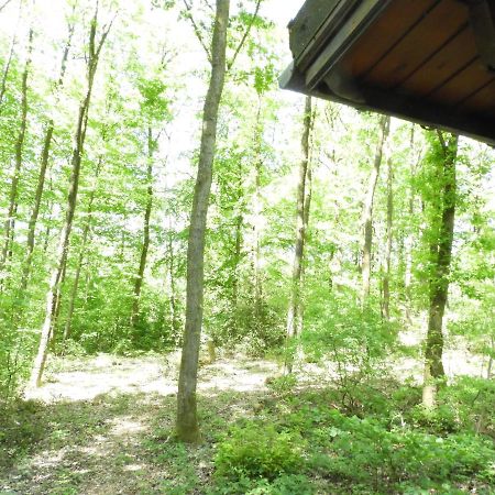 Chalet Louislola Villa Oignies Bagian luar foto