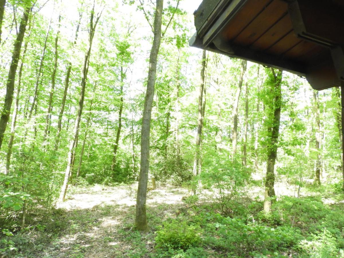 Chalet Louislola Villa Oignies Bagian luar foto